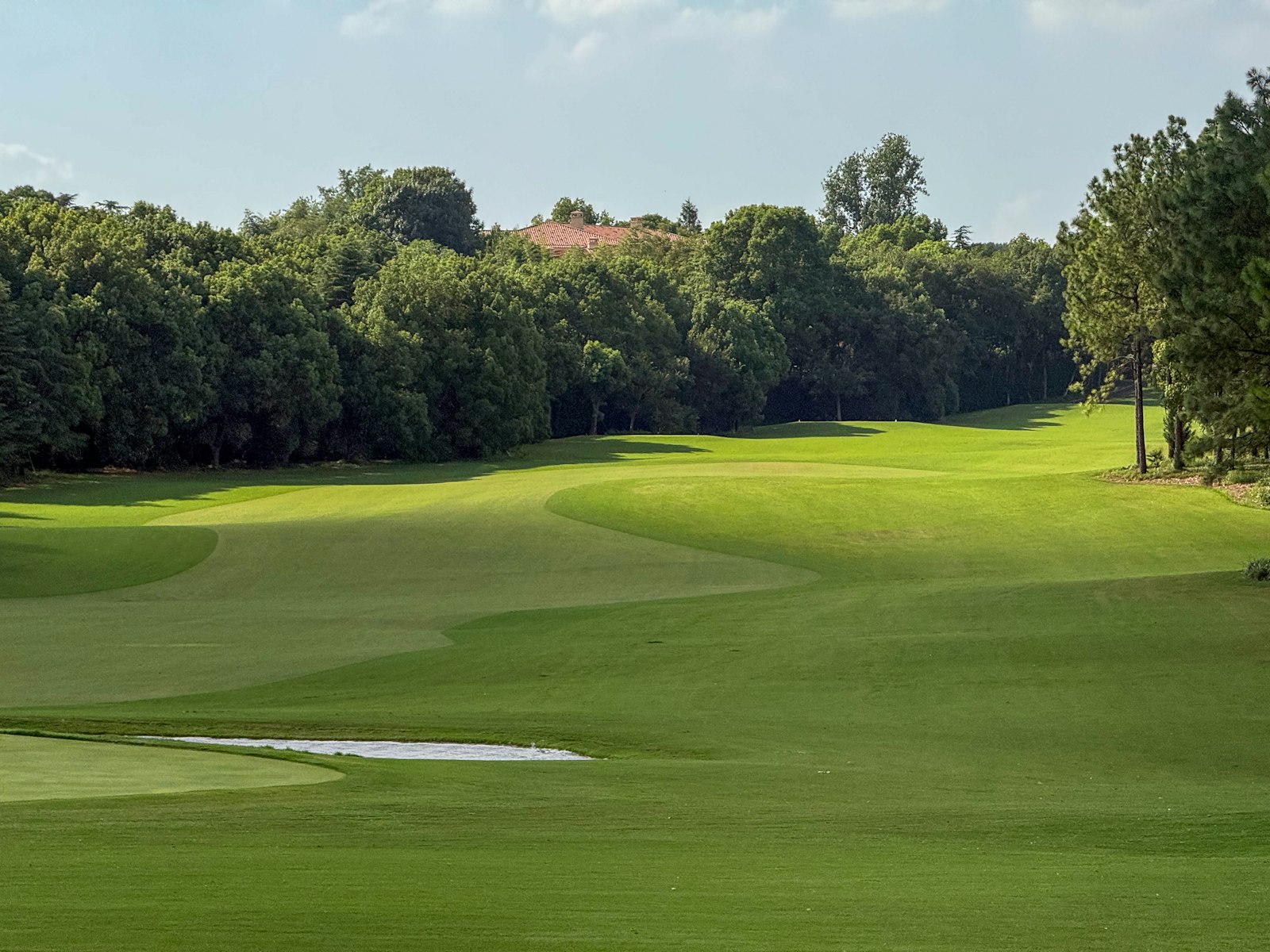 Recorrido de golf con árboles y césped cuidado